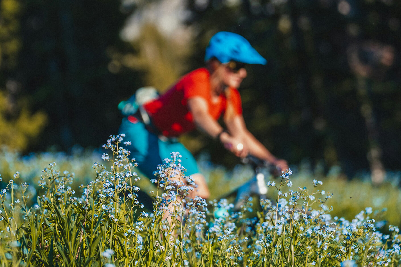 Cicloturismo